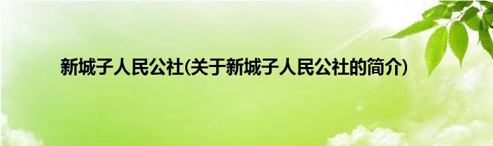新城子人民公社(关于新城子人民公社的简介)