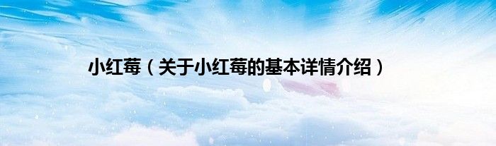 小红莓（关于小红莓的基本详情介绍）