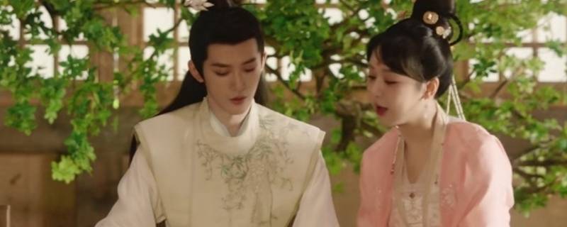 长相思里小夭到底经历了什么