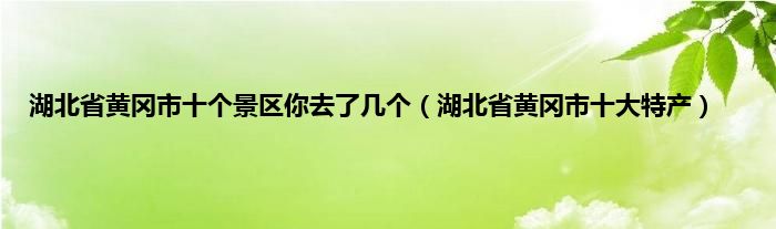 湖北省黄冈市十个景区你去了几个（湖北省黄冈市十大特产）