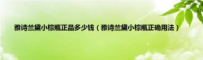 雅诗兰黛小棕瓶正品多少钱（雅诗兰黛小棕瓶正确用法）