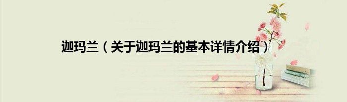 迦玛兰(关于迦玛兰的基本详情介绍)