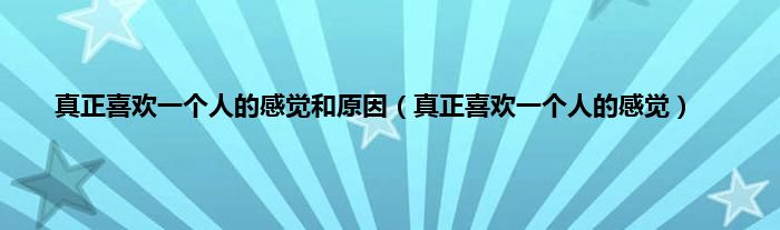 真正喜欢一个人的感觉和原因（真正喜欢一个人的感觉）