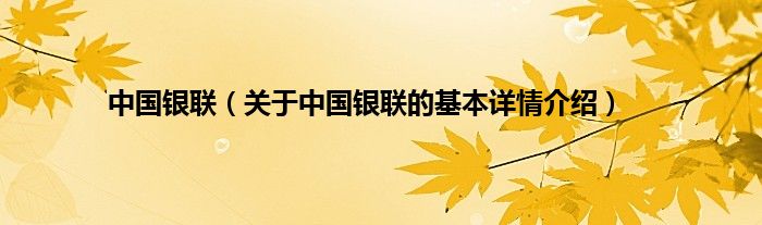 中国银联（关于中国银联的基本详情介绍）