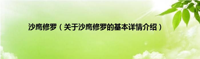 沙鹰修罗（关于沙鹰修罗的基本详情介绍）