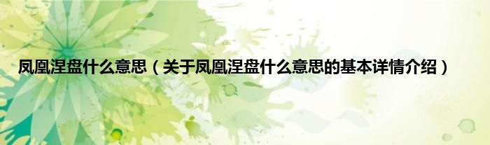 凤凰涅盘什么意思（关于凤凰涅盘什么意思的基本详情介绍）