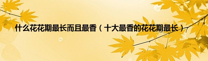什么花花期最长而且最香（十大最香的花花期最长）