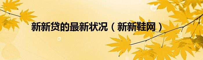 新新贷的最新状况（新新鞋网）