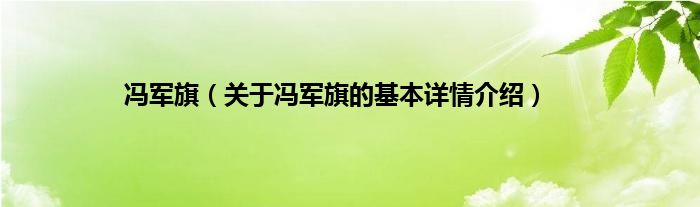 冯军旗（关于冯军旗的基本详情介绍）