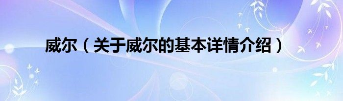 威尔（关于威尔的基本详情介绍）