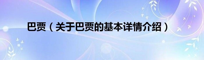 巴贾（关于巴贾的基本详情介绍）