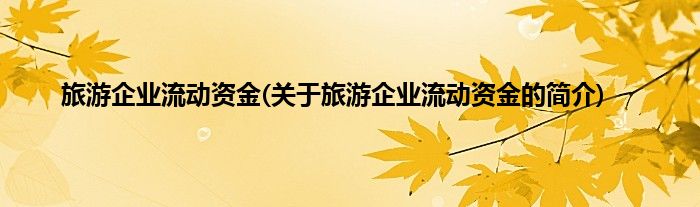 旅游企业流动资金(关于旅游企业流动资金的简介)
