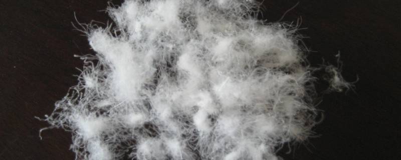 90白鹅绒和95白鹅绒的区别