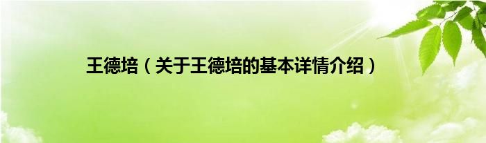 王德培（关于王德培的基本详情介绍）