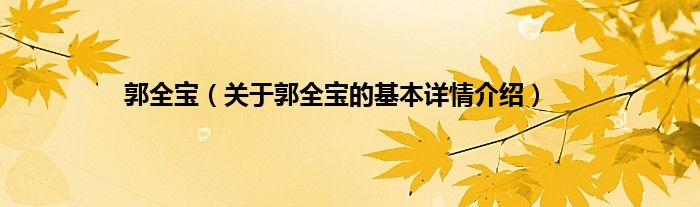 郭全宝(关于郭全宝的基本详情介绍)