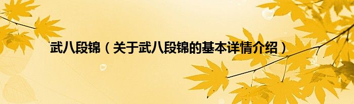 武八段锦（关于武八段锦的基本详情介绍）