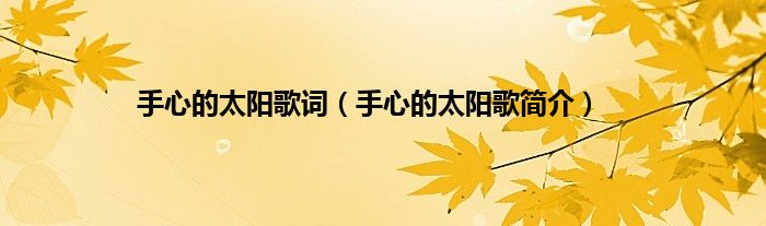 手心的太阳歌词（手心的太阳歌简介）