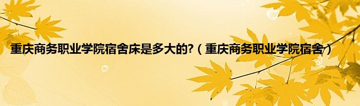 重庆商务职业学院宿舍床是多大的?（重庆商务职业学院宿舍）