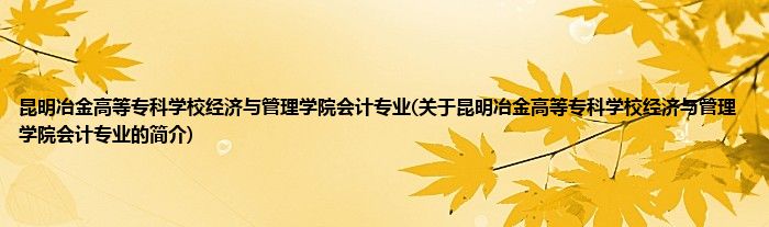 昆明冶金高等专科学校经济与管理学院会计专业(关于昆明冶金高等专科学校经济与管理学院会计专业的简介)