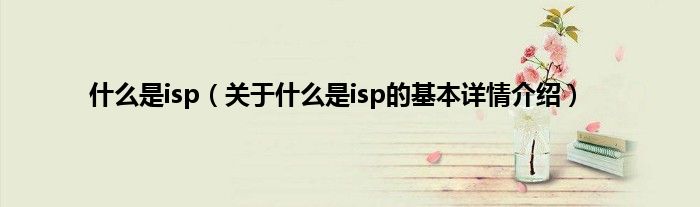 什么是isp(关于什么是isp的基本详情介绍)