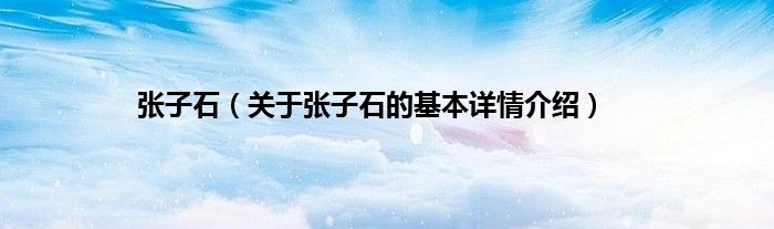 张子石（关于张子石的基本详情介绍）