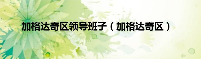 加格达奇区领导班子（加格达奇区）