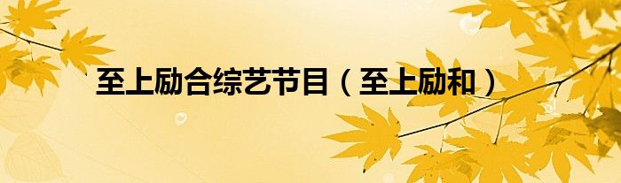 至上励合综艺节目（至上励和）