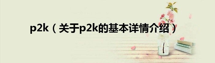 p2k（关于p2k的基本详情介绍）