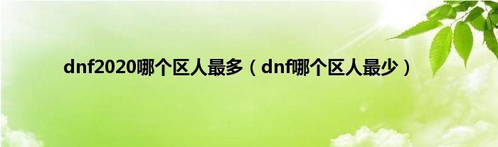 dnf2020哪个区人最多（dnf哪个区人最少）