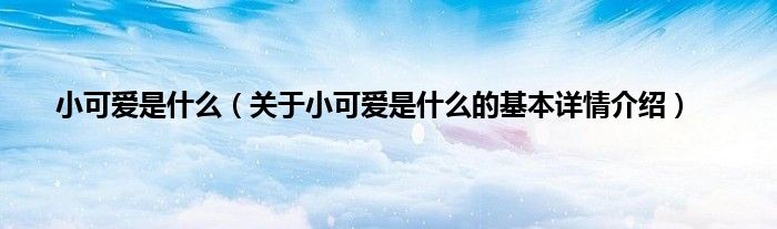 小可爱是什么（关于小可爱是什么的基本详情介绍）
