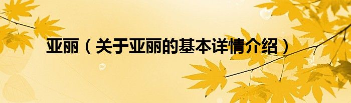 亚丽（关于亚丽的基本详情介绍）
