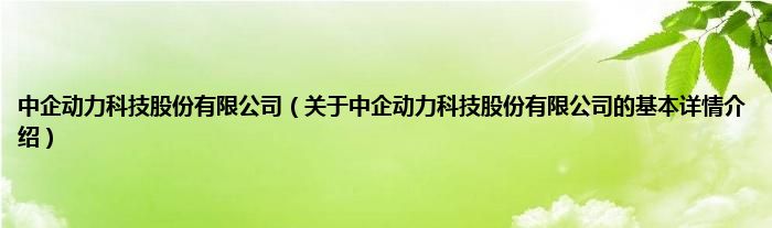 中企动力科技股份有限公司（关于中企动力科技股份有限公司的基本详情介绍）