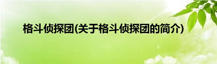 格斗侦探团(关于格斗侦探团的简介)