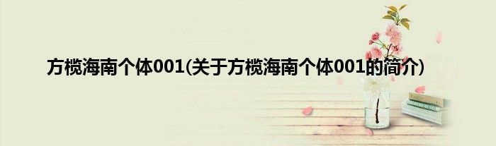 方榄海南个体001(关于方榄海南个体001的简介)