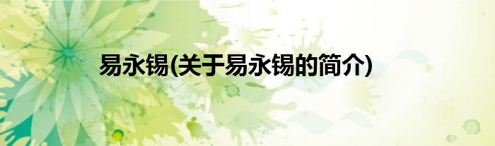 易永锡(关于易永锡的简介)
