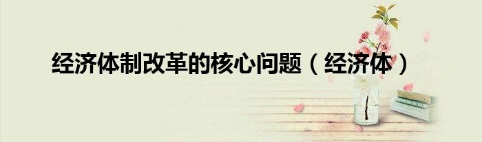 经济体制改革的核心问题（经济体）