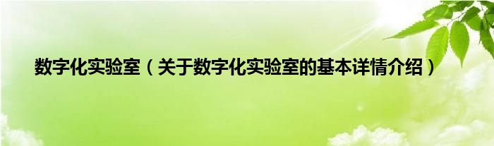 数字化实验室（关于数字化实验室的基本详情介绍）