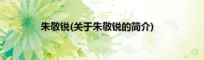朱敬锐(关于朱敬锐的简介)