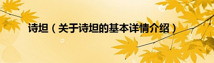 诗坦（关于诗坦的基本详情介绍）