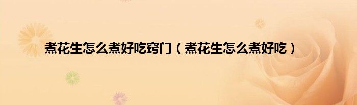 煮花生怎么煮好吃窍门（煮花生怎么煮好吃）