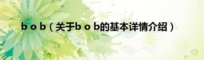 b o b（关于b o b的基本详情介绍）