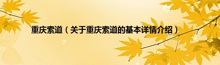 重庆索道（关于重庆索道的基本详情介绍）