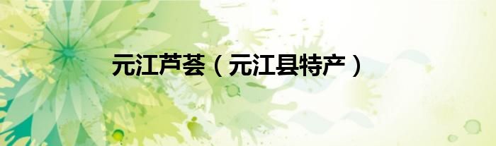 元江芦荟（元江县特产）