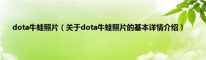 dota牛蛙照片（关于dota牛蛙照片的基本详情介绍）