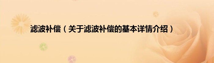 滤波补偿（关于滤波补偿的基本详情介绍）