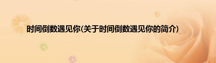 时间倒数遇见你(关于时间倒数遇见你的简介)