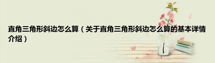 直角三角形斜边怎么算（关于直角三角形斜边怎么算的基本详情介绍）