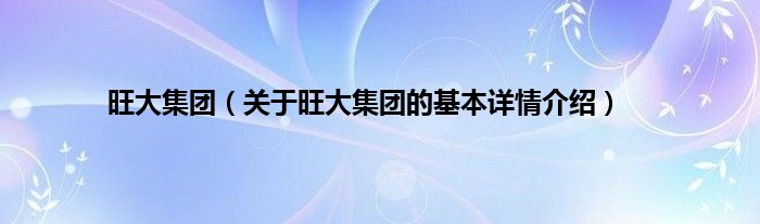 旺大集团（关于旺大集团的基本详情介绍）