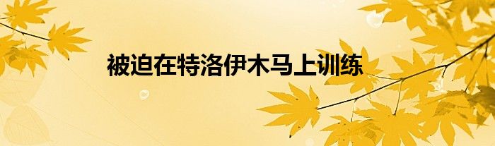 被迫在特洛伊木马上训练