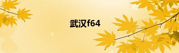 武汉f64